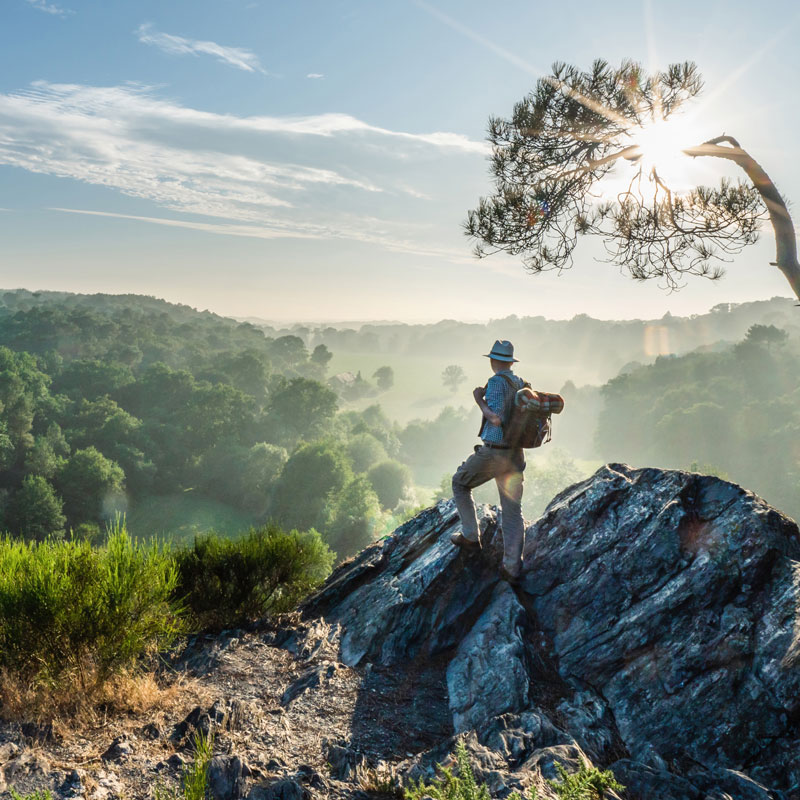 backpacker standing on a rock overlooking a forest with the sun shining brightly overhead