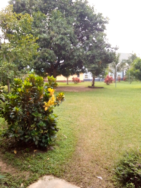 photo submitted by Uche N.